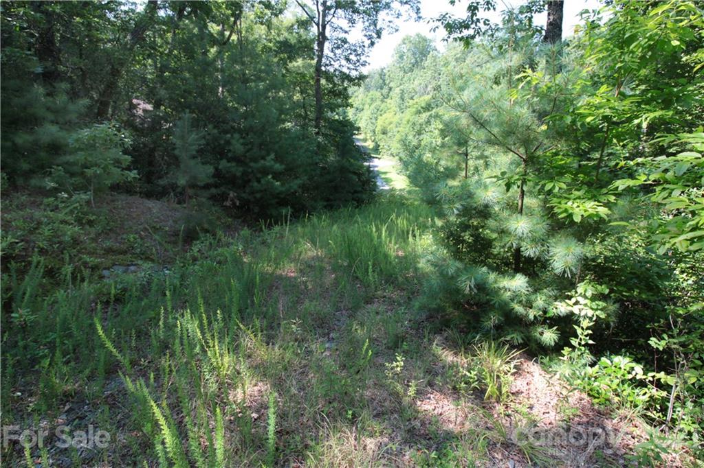 7 Kelly Mountain Road, Unit 7 Brevard, NC 28712 - Photo 14 of 23 Gallery Image 14