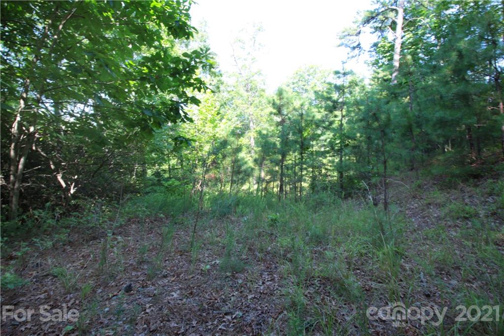 7 Kelly Mountain Road, Unit 7 Brevard, NC 28712 - Photo 16 of 23 Gallery Image 16