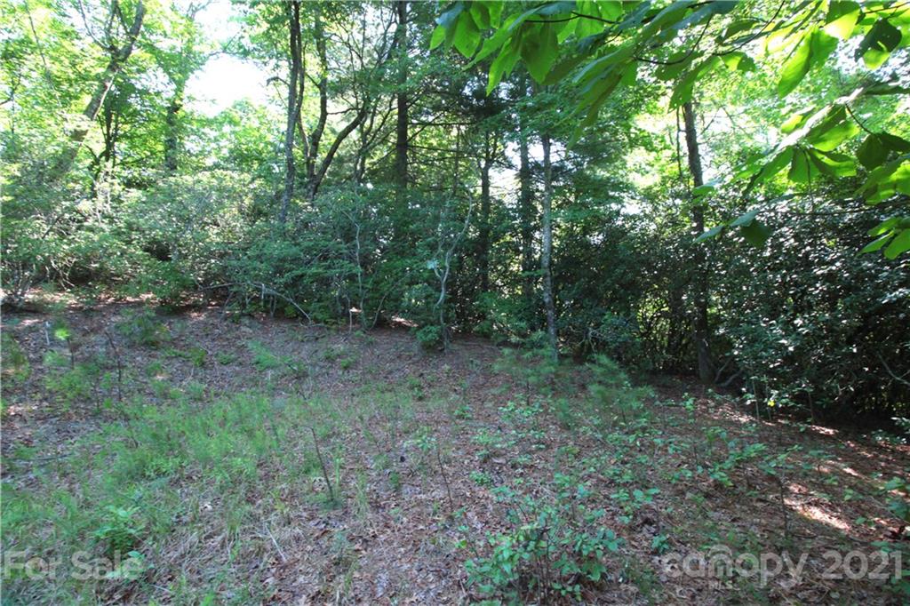 7 Kelly Mountain Road, Unit 7 Brevard, NC 28712 - Photo 18 of 23 Gallery Image 18