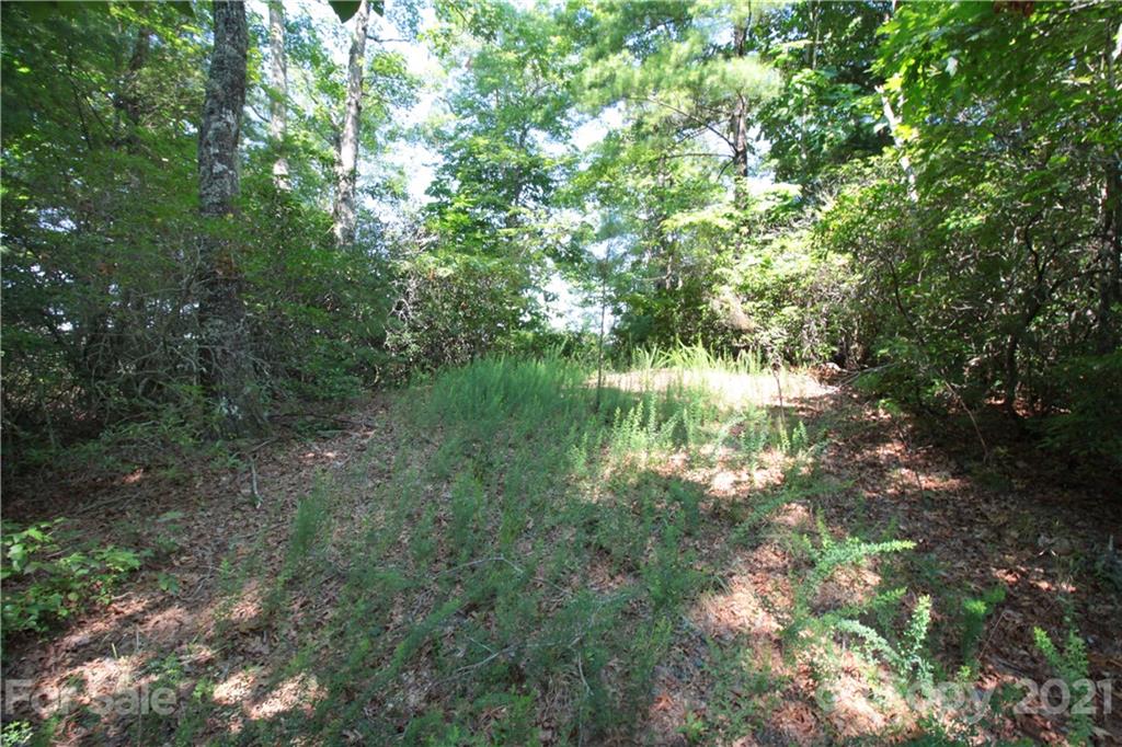 7 Kelly Mountain Road, Unit 7 Brevard, NC 28712 - Photo 19 of 23 Gallery Image 19