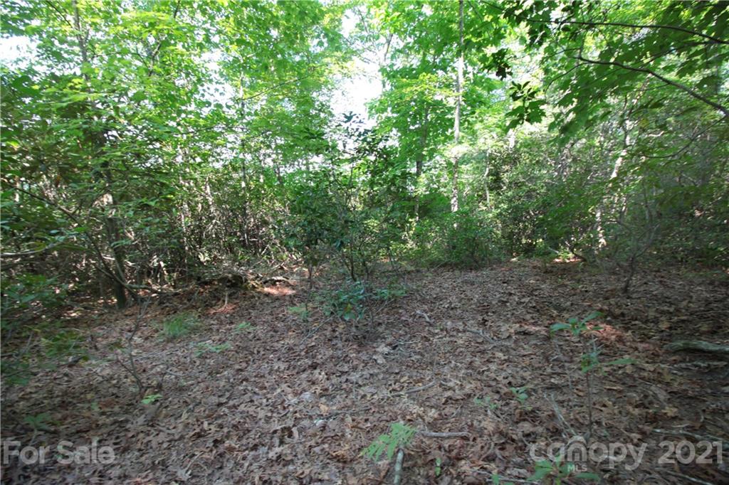 7 Kelly Mountain Road, Unit 7 Brevard, NC 28712 - Photo 20 of 23 Gallery Image 20