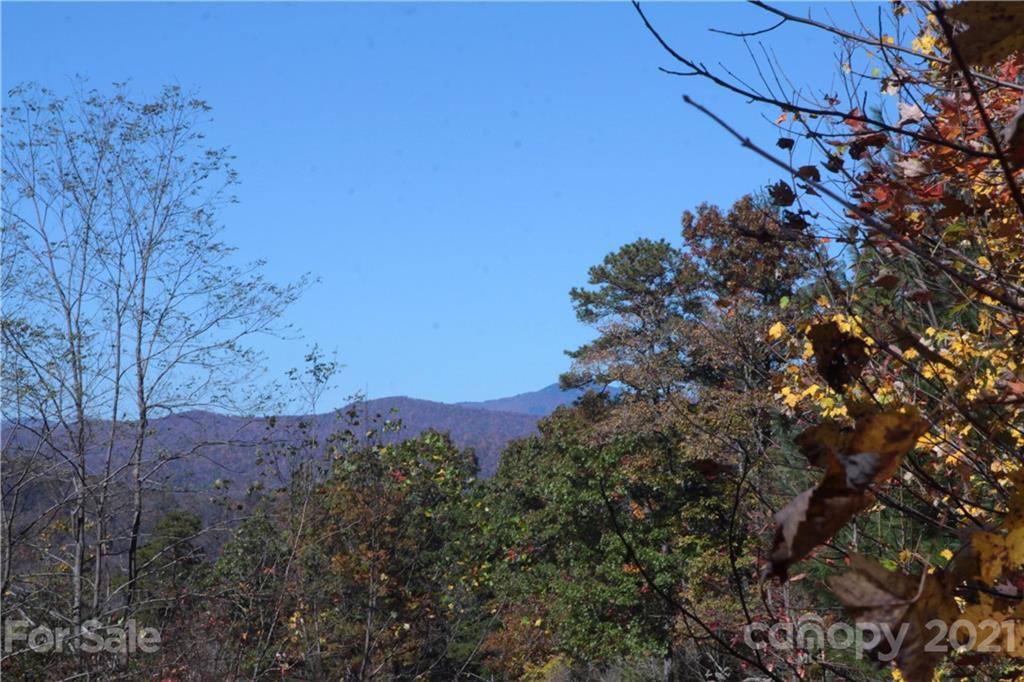 7 Kelly Mountain Road, Unit 7 Brevard, NC 28712 - Photo 3 of 23 Gallery Image 3