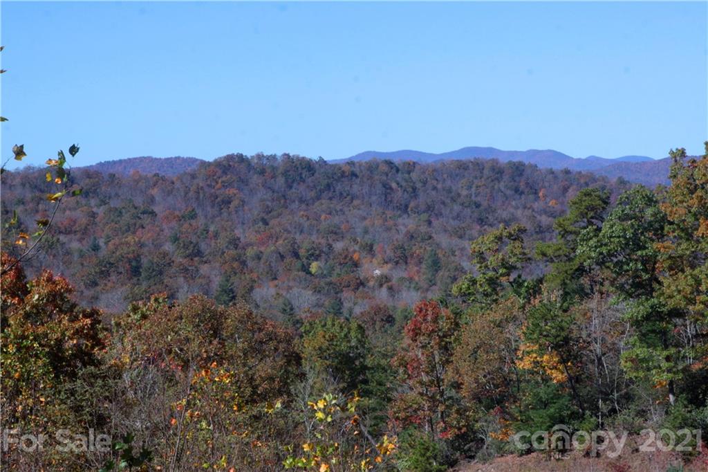 7 Kelly Mountain Road, Unit 7 Brevard, NC 28712 - Photo 7 of 23 Gallery Image 7