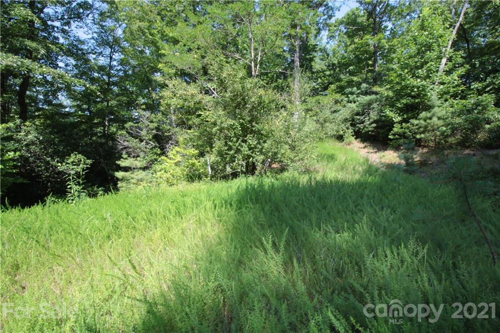 7 Kelly Mountain Road, Unit 7 Brevard, NC 28712 - Photo 8 of 23 Gallery Image 8