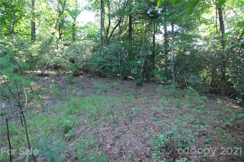 7 Kelly Mountain Road, Unit 7 Brevard, NC 28712 - Photo 9 of 23 Gallery Image 9