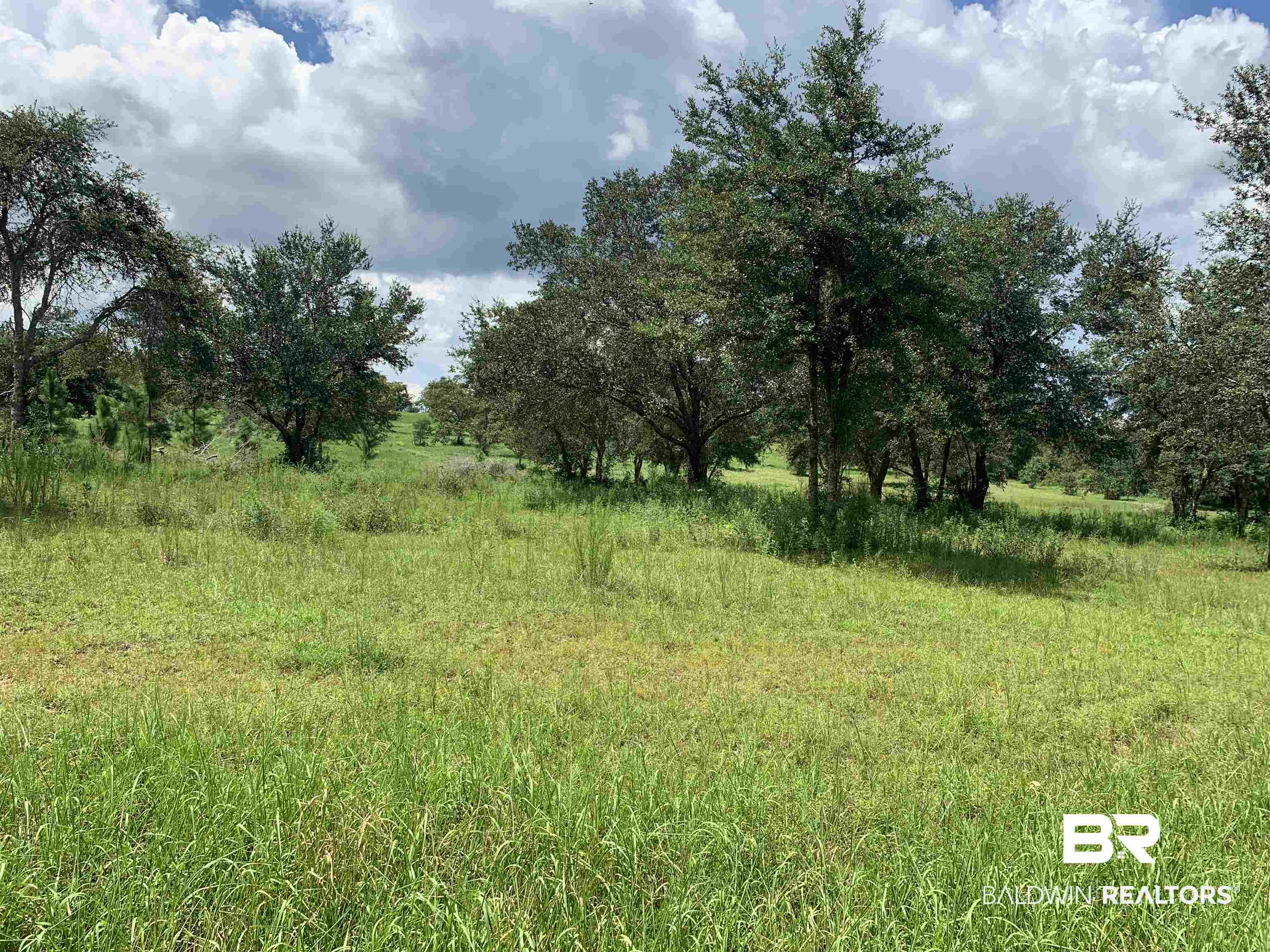Woodhaven Dairy Road Summerdale, AL 36580 - Photo 6 of 10