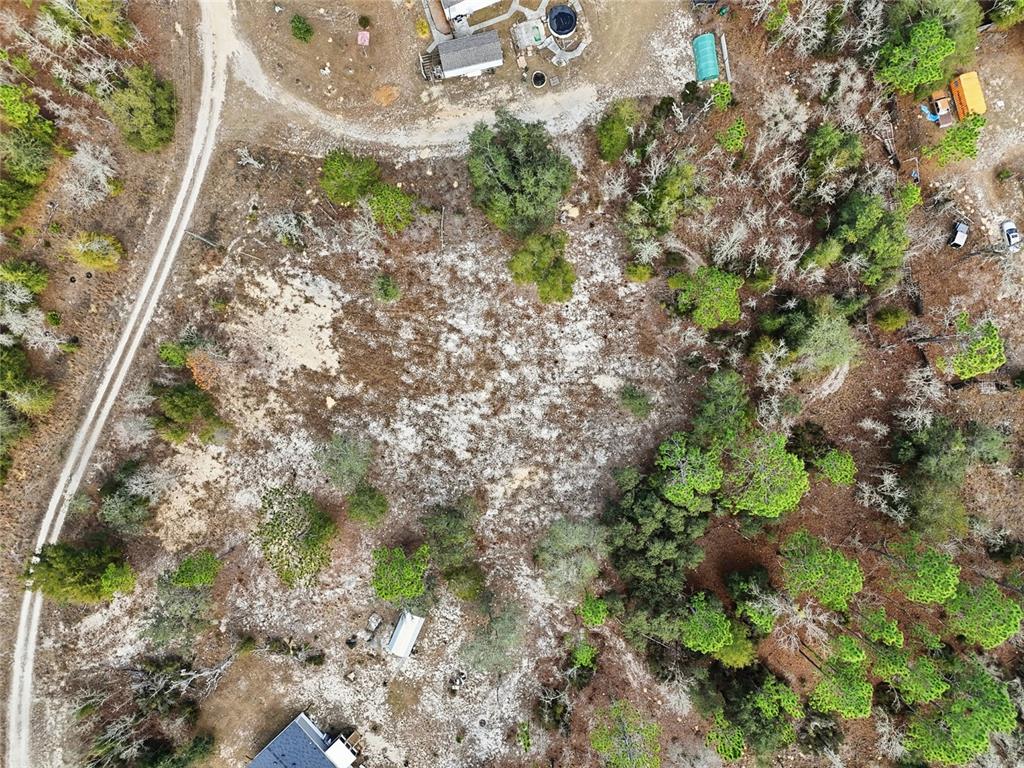 0 Northeast 78th Terrace Bronson, FL 32621 - Photo 5 of 11