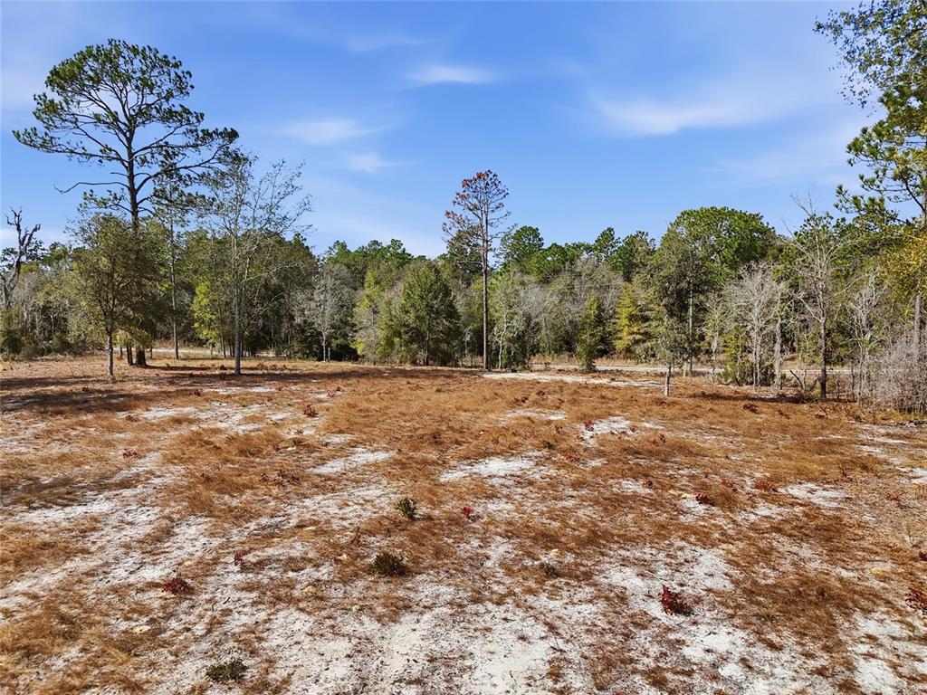 0 Northeast 78th Terrace Bronson, FL 32621 - Photo 9 of 11