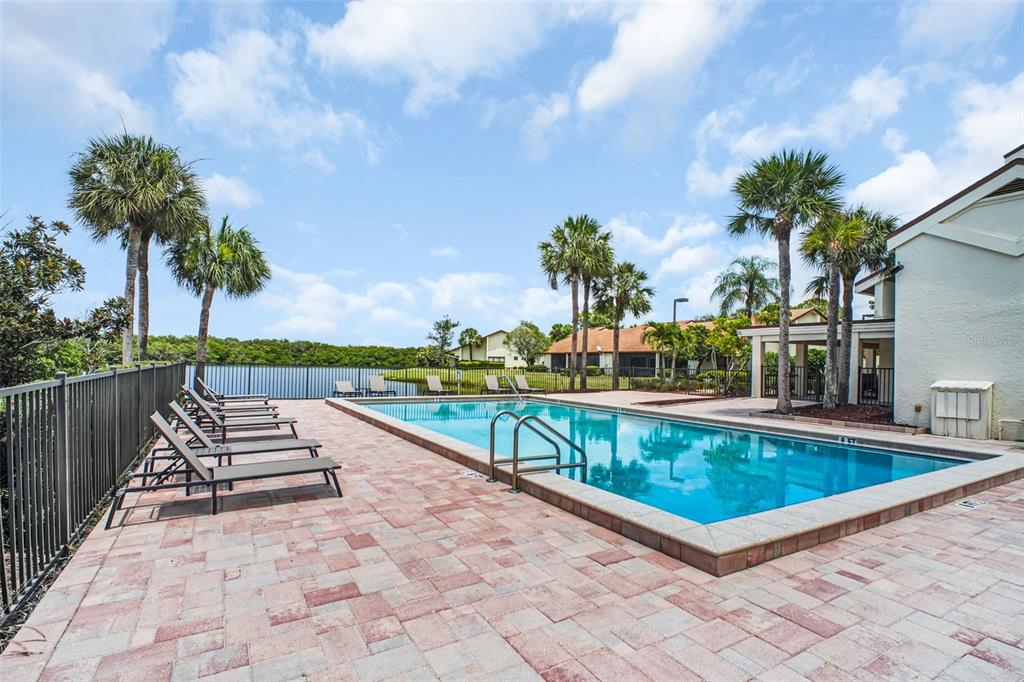14893 Feather Cove Road Clearwater, FL 33762 - Photo 46 of 52