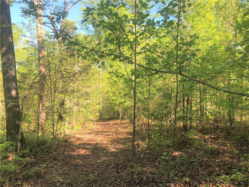 0 Snug Harbor Lane Walhalla, SC 29691 - Photo 6 of 39 Gallery Image 6