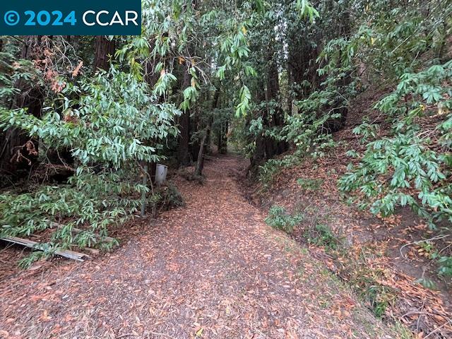 16631 Watson Road Guerneville, CA 95446 - Photo 1 of 1 Gallery Image 1
