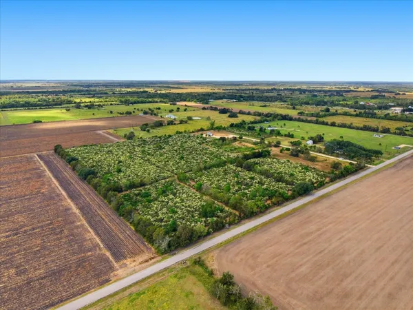 $58,500 | Lot 4 Cow Creek Road, Damon, TX 77430