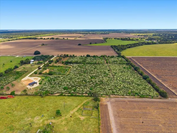 $58,500 | Lot 4 Cow Creek Road, Damon, TX 77430