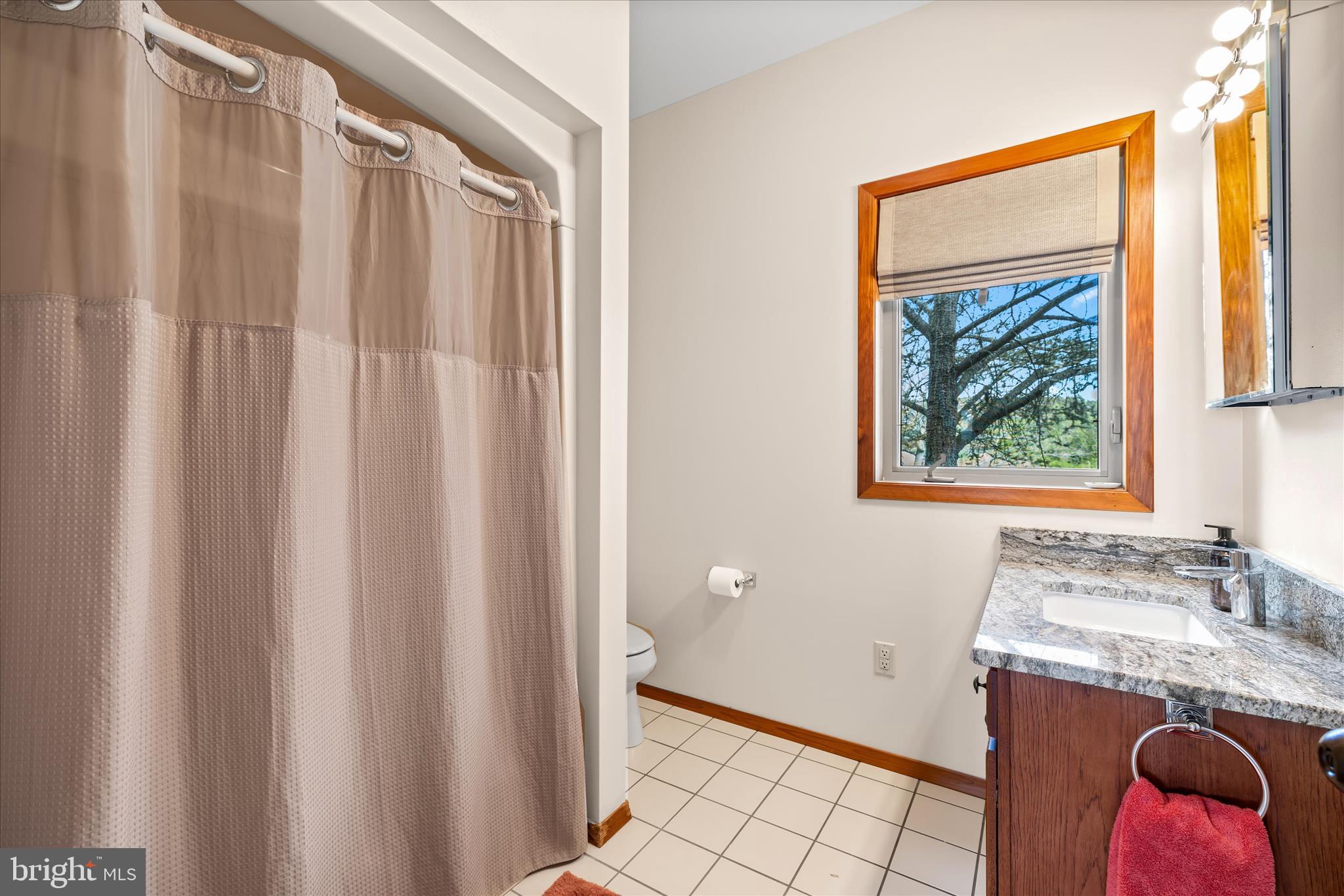 4808 Saltmarsh Lane Madison, MD 21648 - Photo 48 of 119 a bathroom with a granite countertop sink and a mirror
