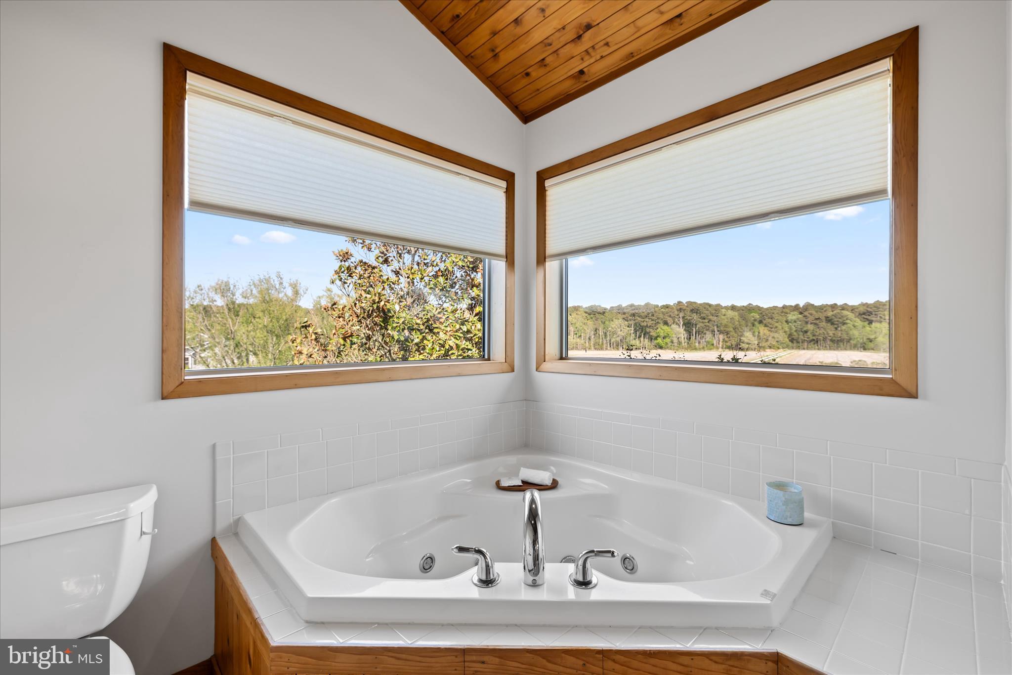 4808 Saltmarsh Lane Madison, MD 21648 - Photo 66 of 119 a white bath tub sitting next to a window