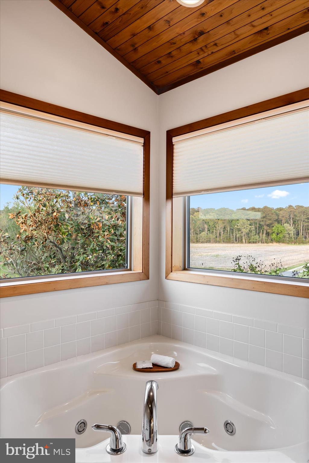 4808 Saltmarsh Lane Madison, MD 21648 - Photo 68 of 119 a bath tub sitting next to a window
