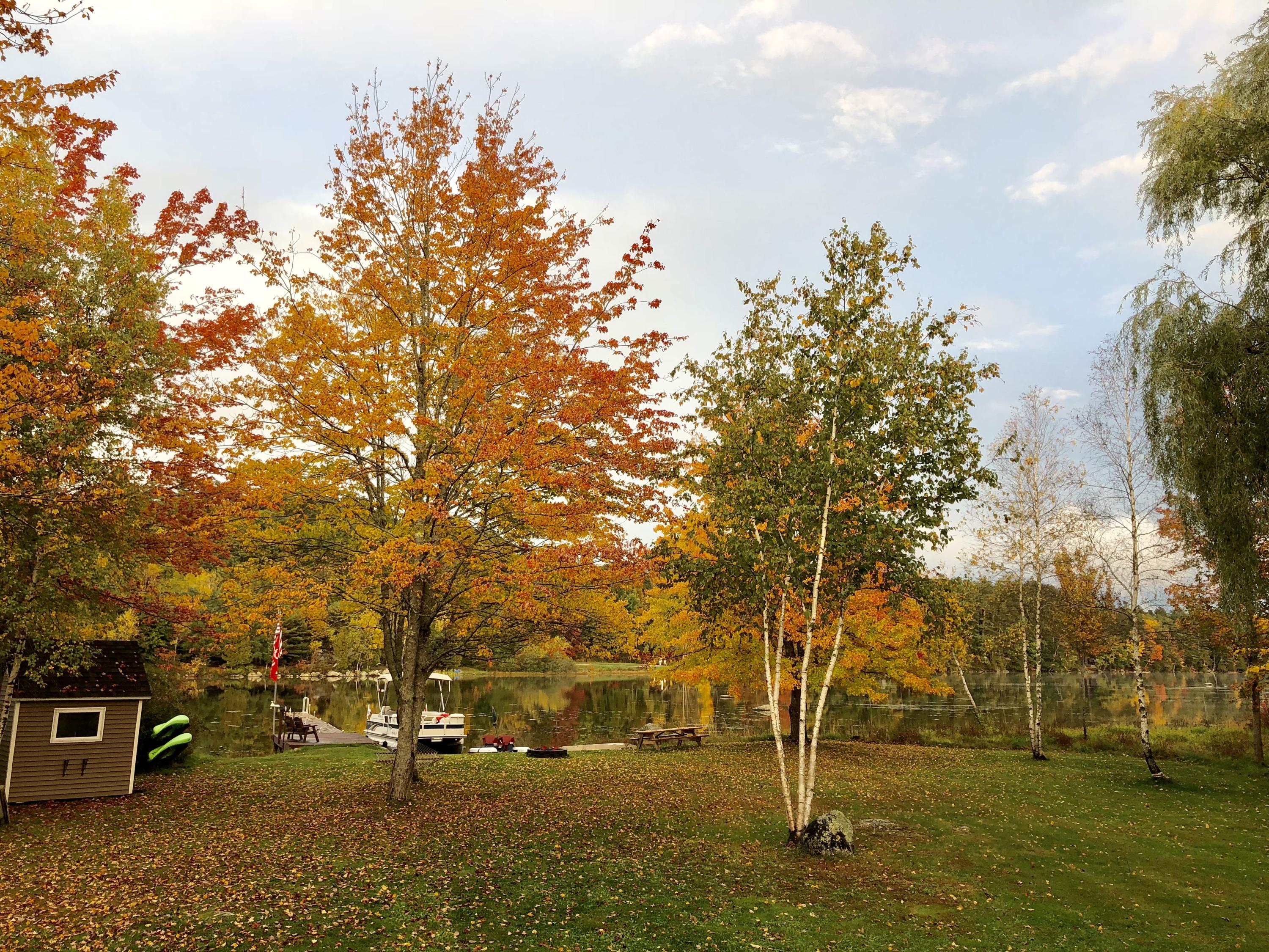 12 Back Ridge Road Orland, ME 04472 - Photo 43 of 65 IMG_1886