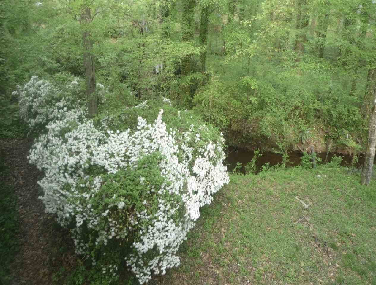 3104 Buckingham Road Durham, NC 27707 - Photo 20 of 20 Photo 20