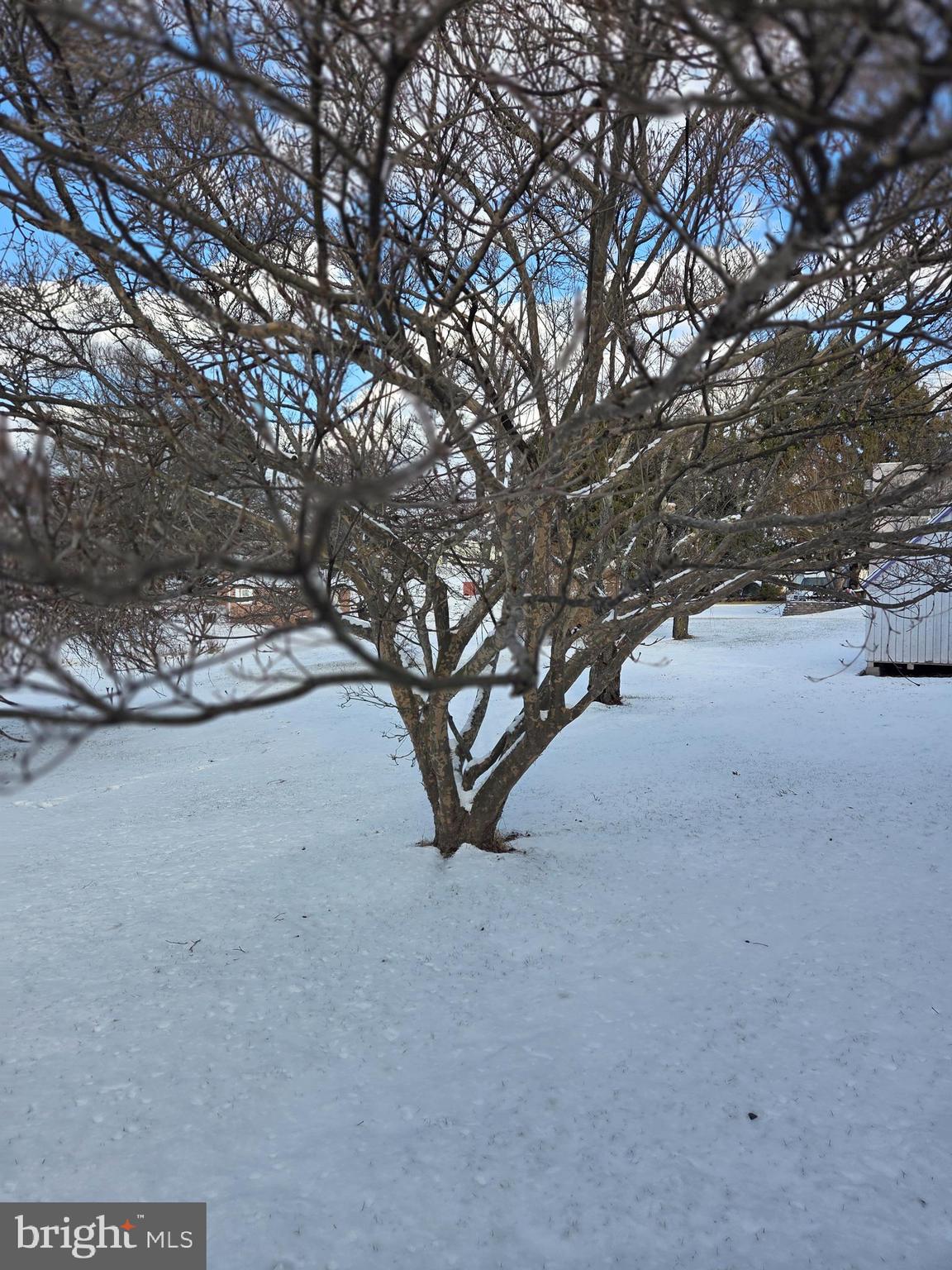 1365 Highway 209 Millersburg, PA 17061 - Photo 7 of 8