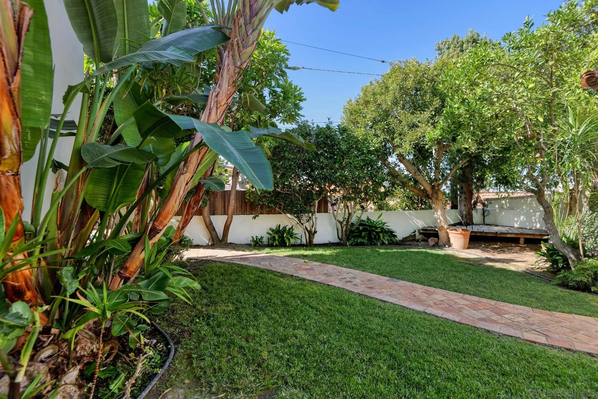 1908 Hypatia Way La Jolla, CA 92037 - Photo 26 of 29 a view of a yard with plants and trees