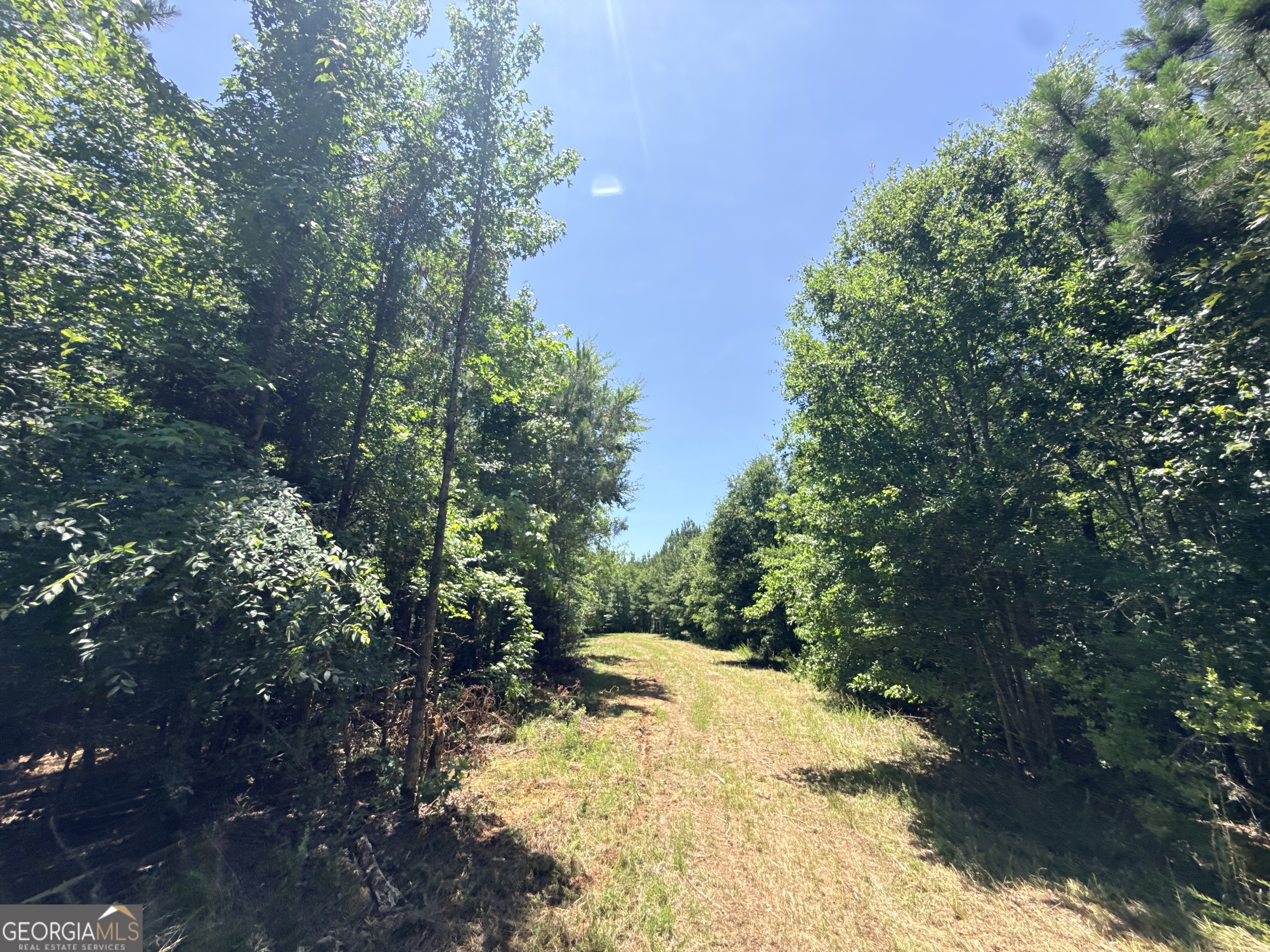 2807 Cedar Creek Road Elberton, GA 30635 - Photo 57 of 109