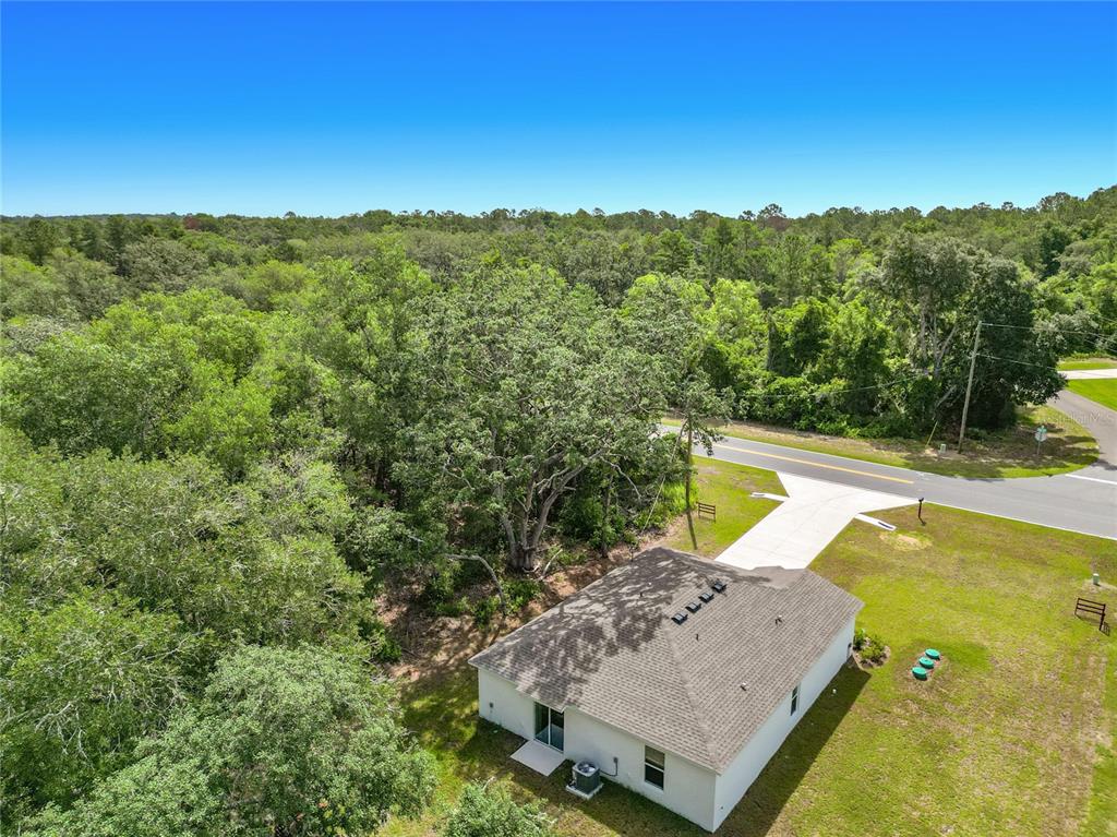 50 Bay Road Ocklawaha, FL 32179 - Photo 46 of 51