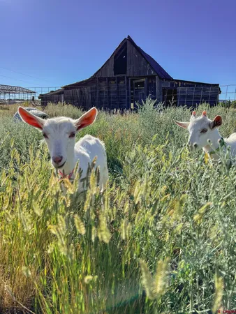 $675,000 | 15338 Highway 140, Hesperus, CO 81326