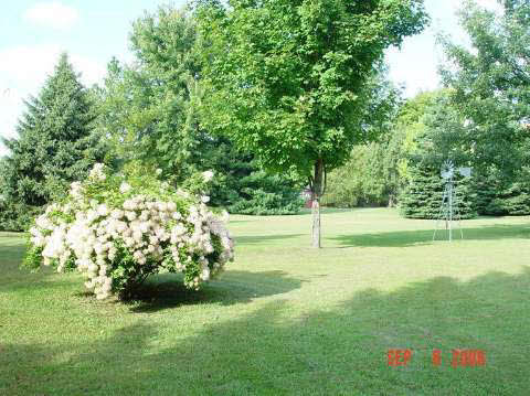 6373 Scott Road Mount Morris, MI 48458 - Photo 17 of 19 20374545-16.JPG
