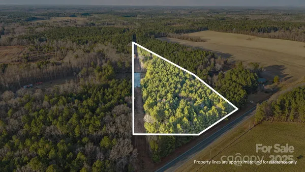 a view of a lake with a mountain in the background