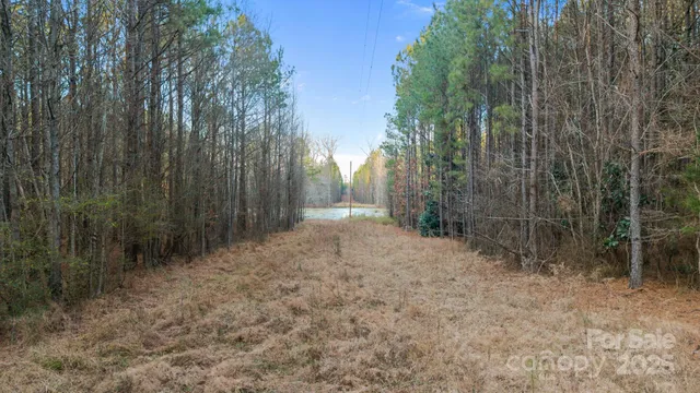 a view of a covered with trees in the background
