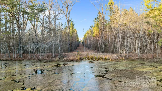 a view of a backyard of the house