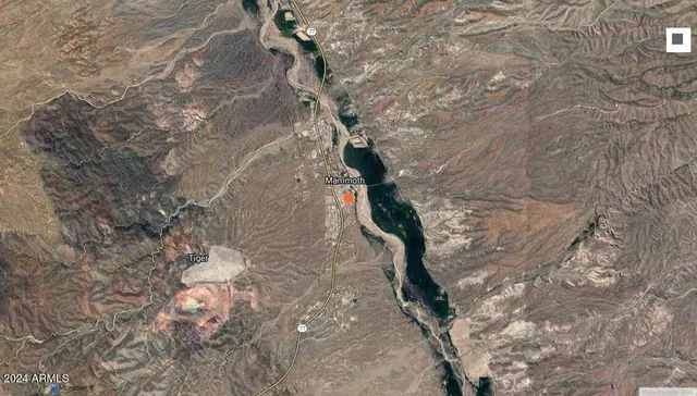 a close up of a tree