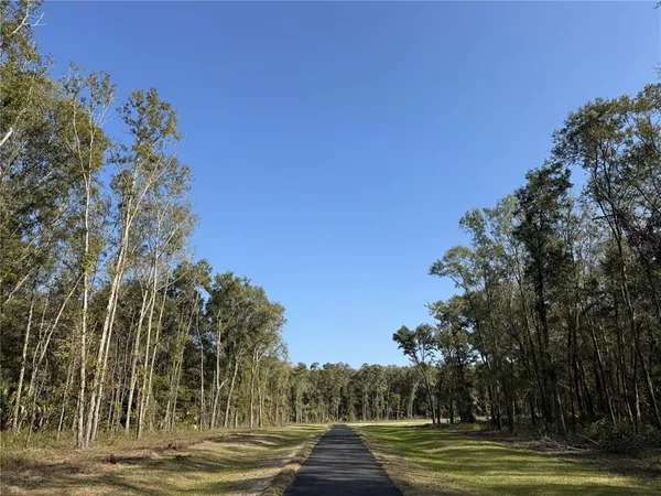 a view of a yard with large trees