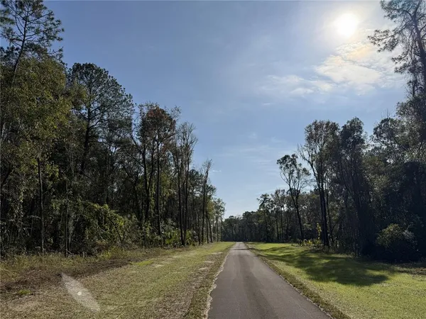 $290,000 | 3 West Highway 318, Reddick, FL 32686