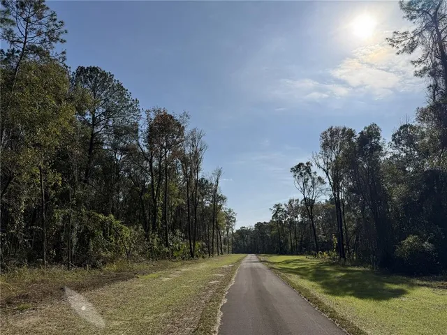 $290,000 | 3 West Highway 318, Reddick, FL 32686