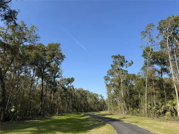 $290,000 | 3 West Highway 318, Reddick, FL 32686