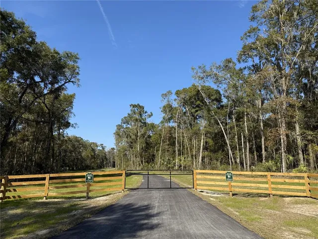 a view of a yard with a tree