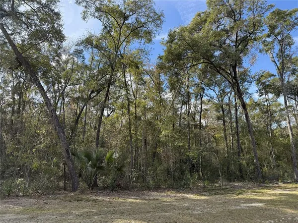 a big yard with lots of green space and fog