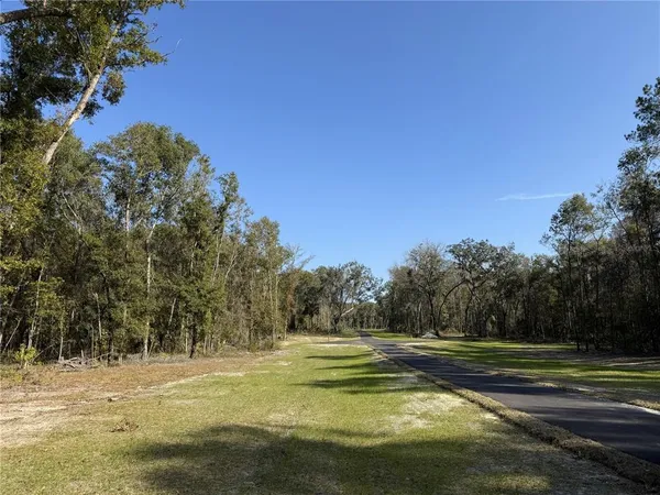 a view of a yard with trees