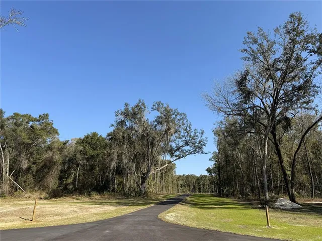 a view of a yard with large trees