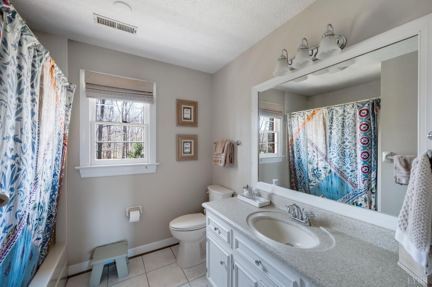 509 Ramblewood Road Forest, VA 24551 - Photo 43 of 65 Gallery Image 43