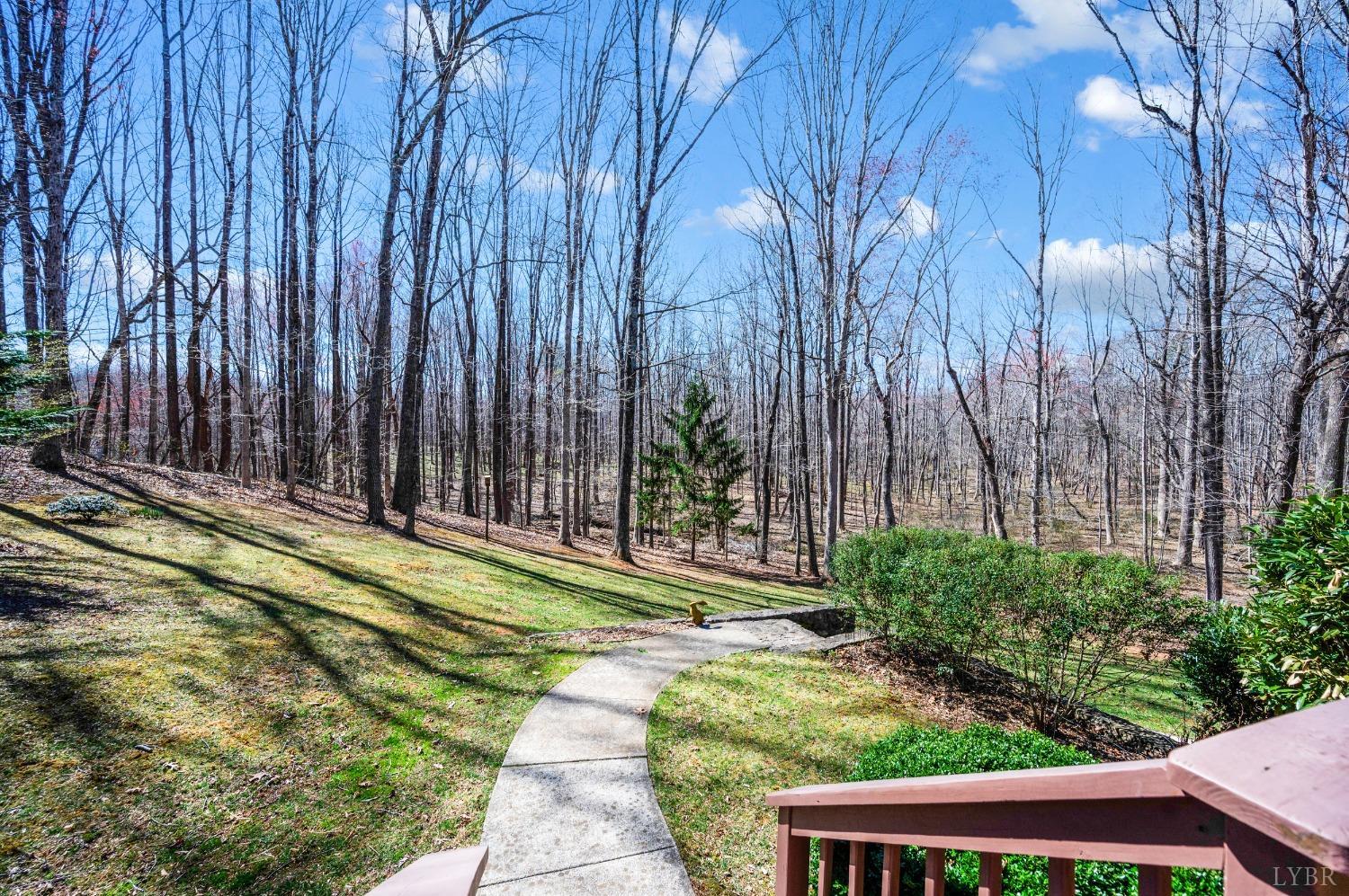509 Ramblewood Road Forest, VA 24551 - Photo 56 of 65 Gallery Image 56