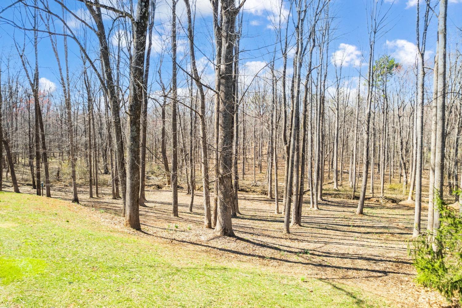 509 Ramblewood Road Forest, VA 24551 - Photo 58 of 65 Gallery Image 58