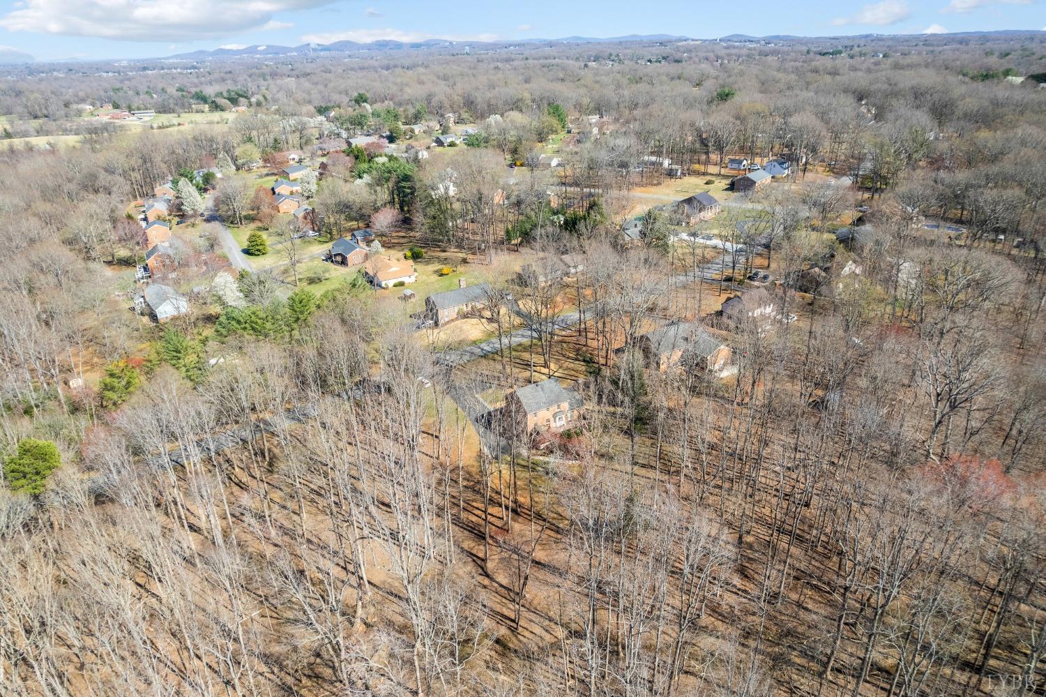 509 Ramblewood Road Forest, VA 24551 - Photo 60 of 65 Gallery Image 60