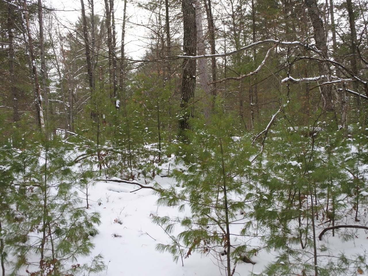 Lot 2 Country Club Road Minocqua, WI 54548 - Photo 3 of 18 Gallery Image 3