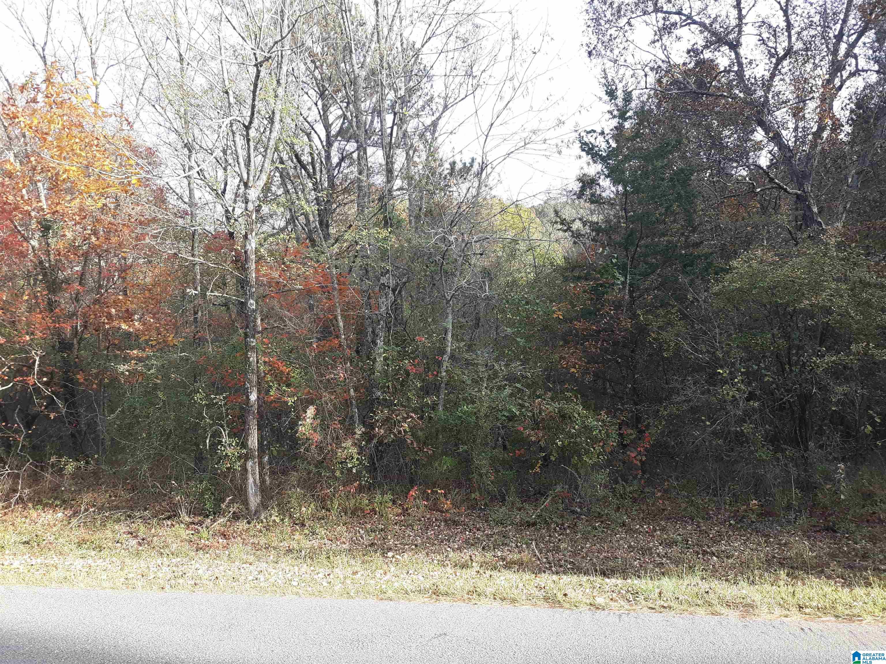0 Valley Trail, Unit 565 Warrior, AL 35180 - Photo 1 of 1