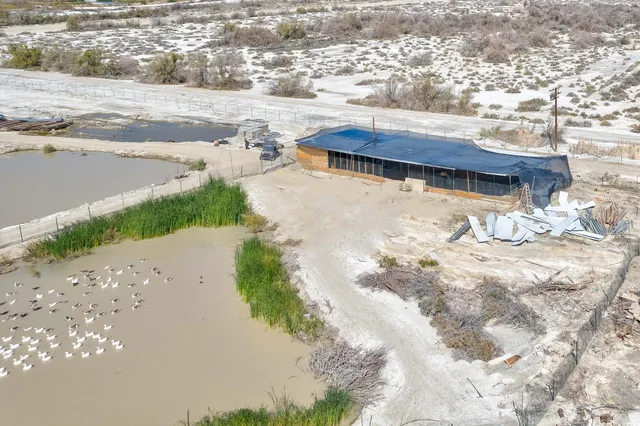 a view of an ocean and beach