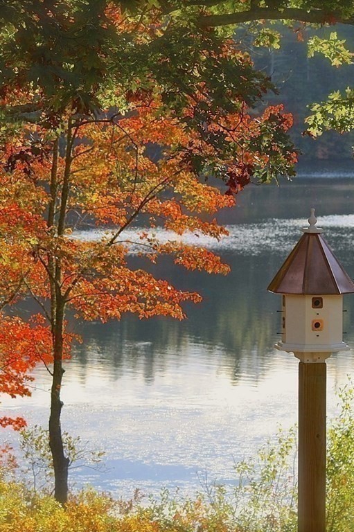 21 Pond Edge Trail Wareham, MA 02571 - Photo 27 of 39