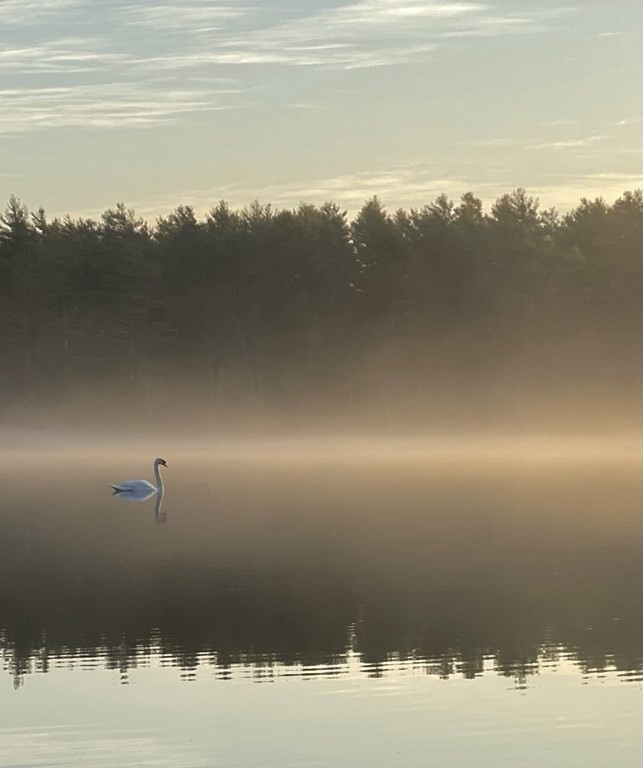 21 Pond Edge Trail Wareham, MA 02571 - Photo 28 of 39