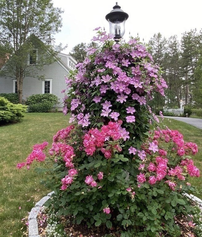 21 Pond Edge Trail Wareham, MA 02571 - Photo 34 of 39